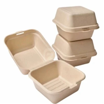 Bocs Cinio Bagasse